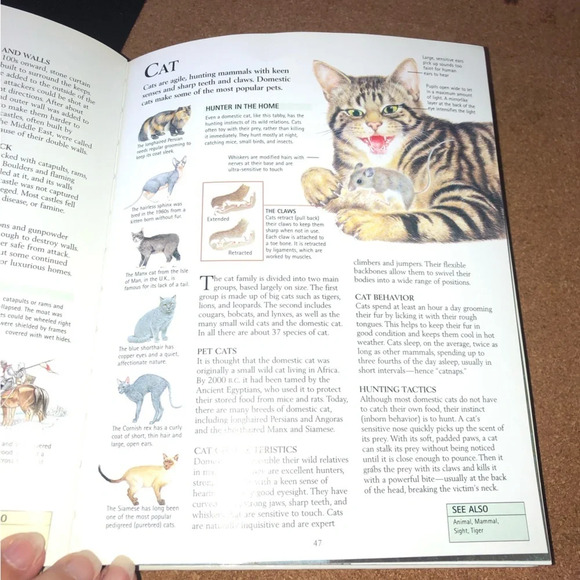 5/$25 
Vintage King Fisher The Concise  Childrens Encyclopedia Hardcover 8.5x7” - Picture 4 of 5